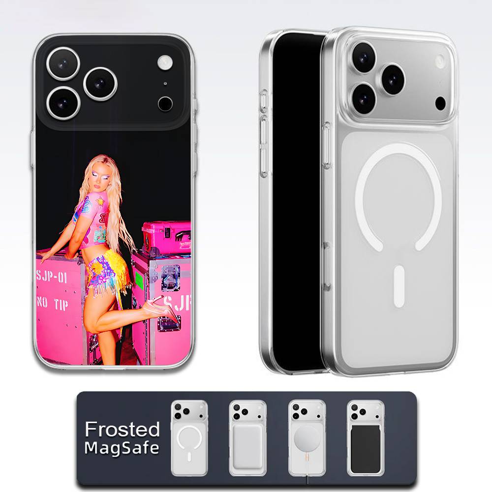 Custodia per telefono Zara Lar - Phone Cases Zara recensione e prezzo